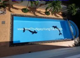 Tập hợp biệt thự, villa, homestay, căn hộ, khách sạn cho thuê ngày tại Vũng Tàu