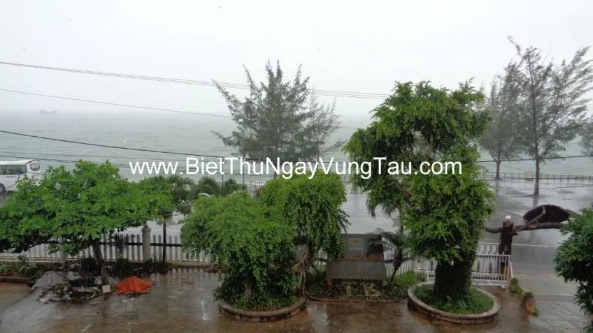 Tập hợp biệt thự, villa, homestay, căn hộ, khách sạn cho thuê ngày tại Vũng Tàu