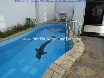 Tập hợp biệt thự, villa, homestay, căn hộ, khách sạn cho thuê ngày tại Vũng Tàu