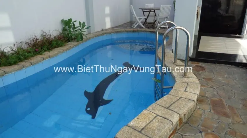 Tập hợp biệt thự, villa, homestay, căn hộ, khách sạn cho thuê ngày tại Vũng Tàu