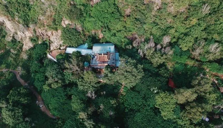 Tập hợp biệt thự, villa, homestay, căn hộ, khách sạn cho thuê ngày tại Vũng Tàu