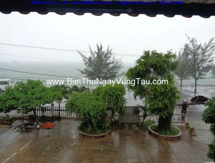 Tập hợp biệt thự, villa, homestay, căn hộ, khách sạn cho thuê ngày tại Vũng Tàu